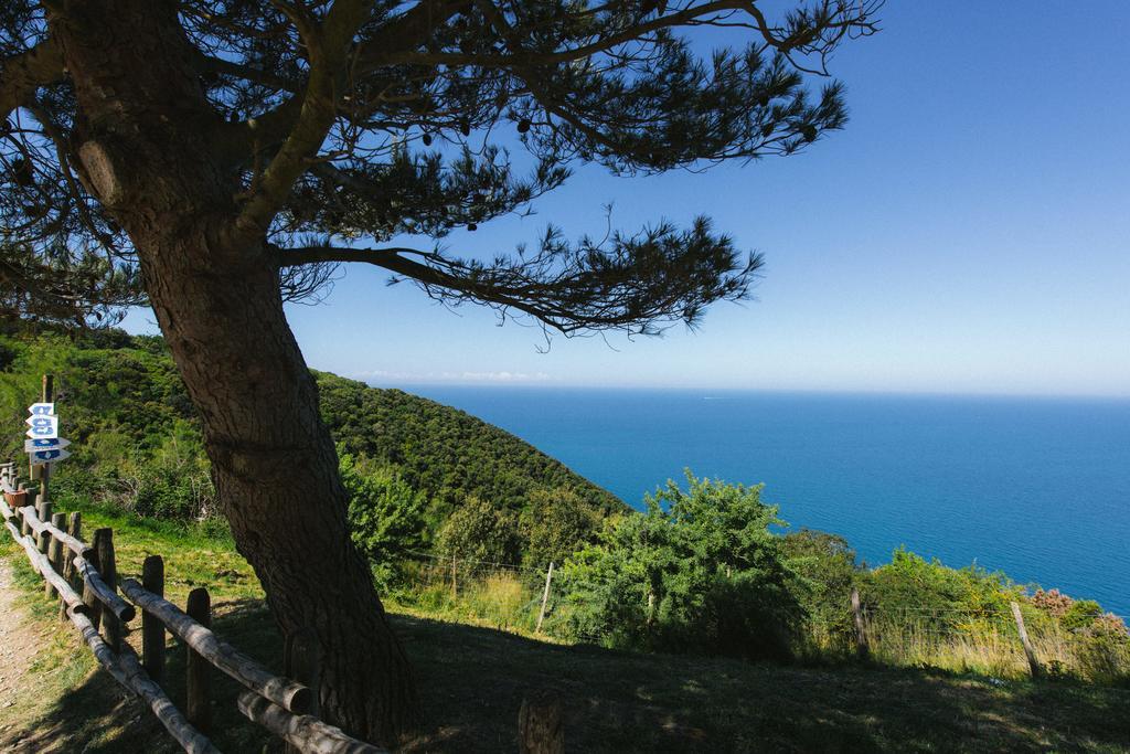 Torre Di Baratti Bio Resort โปปูโลเนีย ภายนอก รูปภาพ