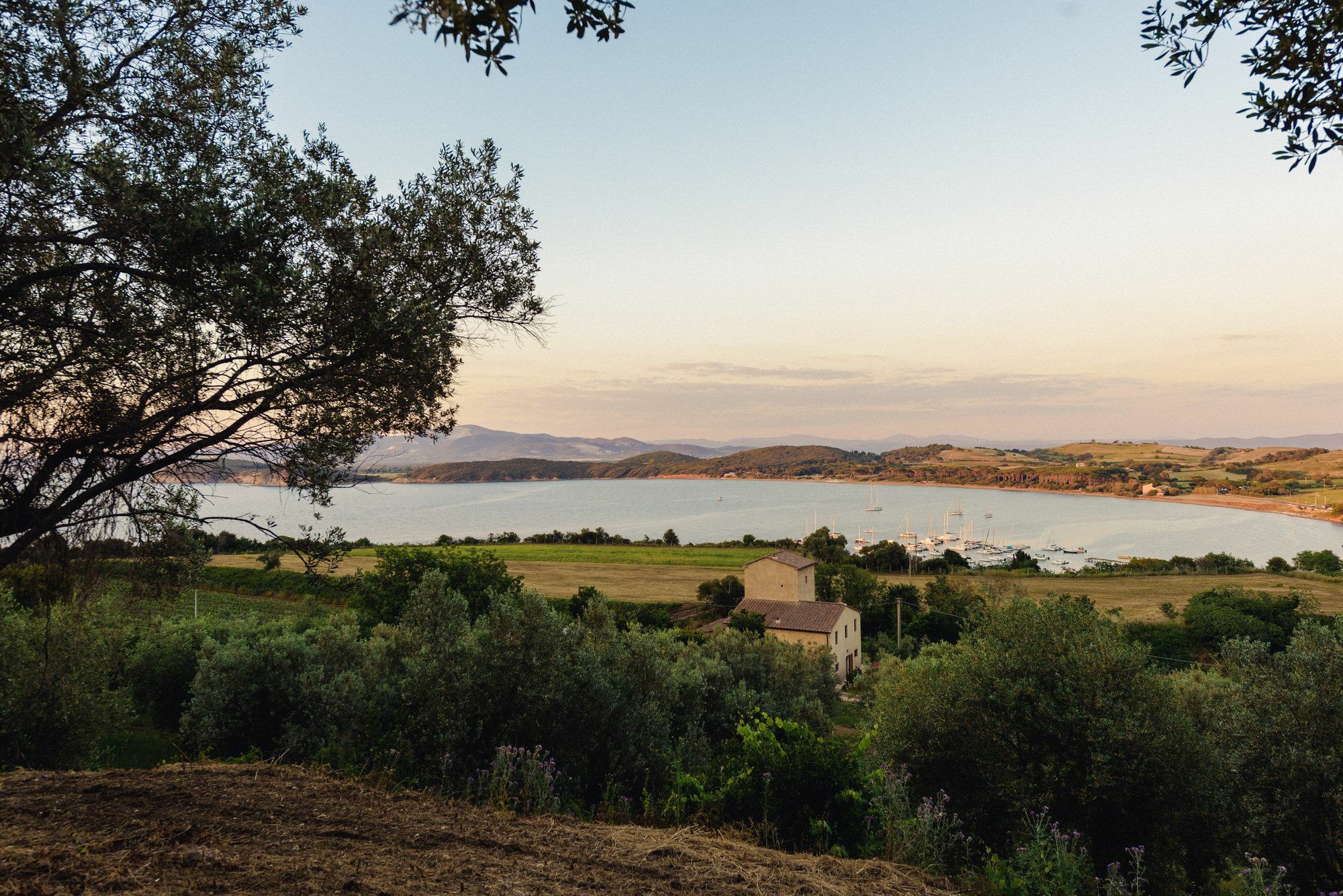Torre Di Baratti Bio Resort โปปูโลเนีย ภายนอก รูปภาพ