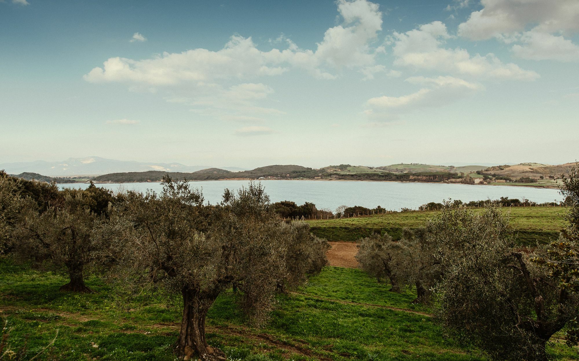 Torre Di Baratti Bio Resort โปปูโลเนีย ภายนอก รูปภาพ